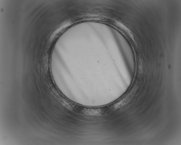 X0000086111411200704091406