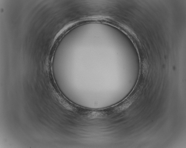 X0000086111412200704091406