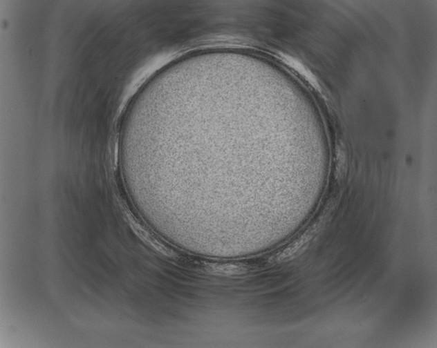 X0000086111413200704091406