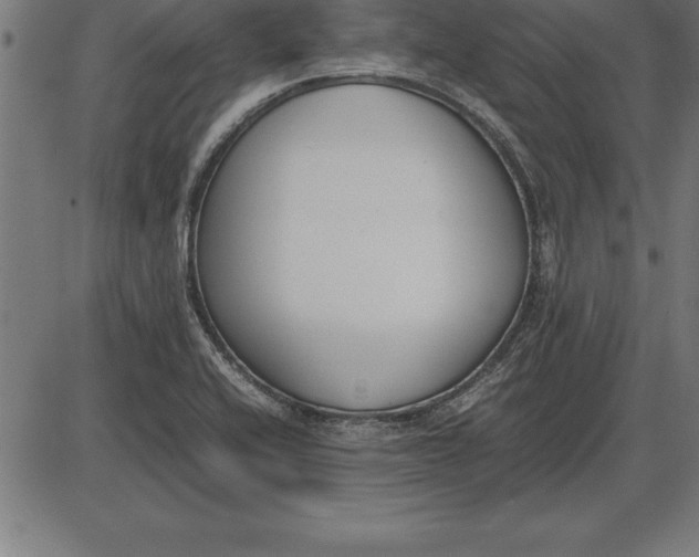 X0000086111416200704091406