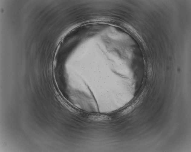 X0000086111417200704091406