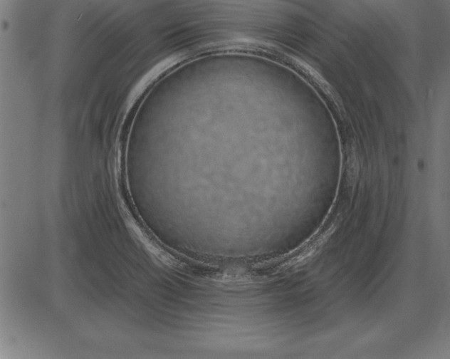 X0000086111418200704091406