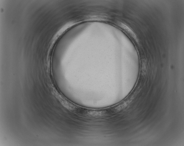 X0000086111419200704091406