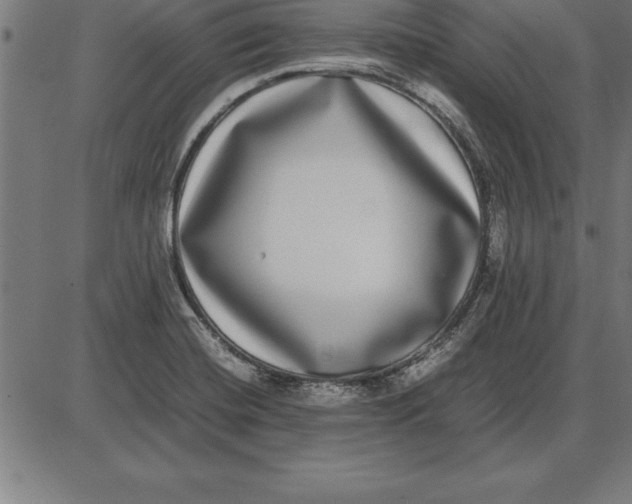 X0000086111420200704091407