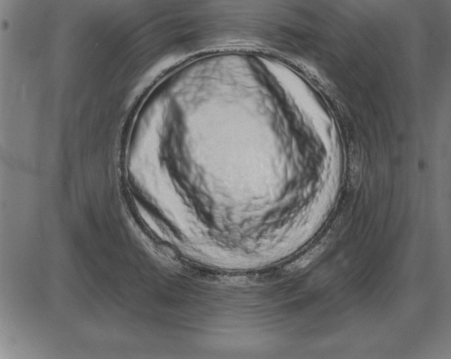 X0000086111422200704091407