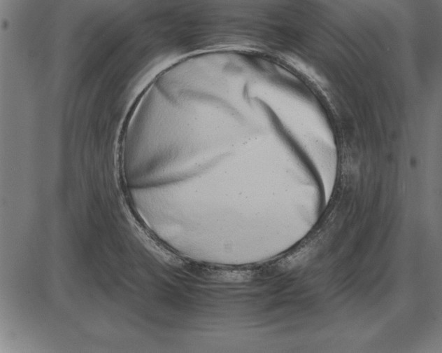 X0000086111423200704091407