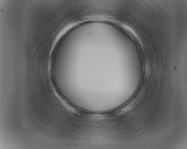 X0000086111424200704091407