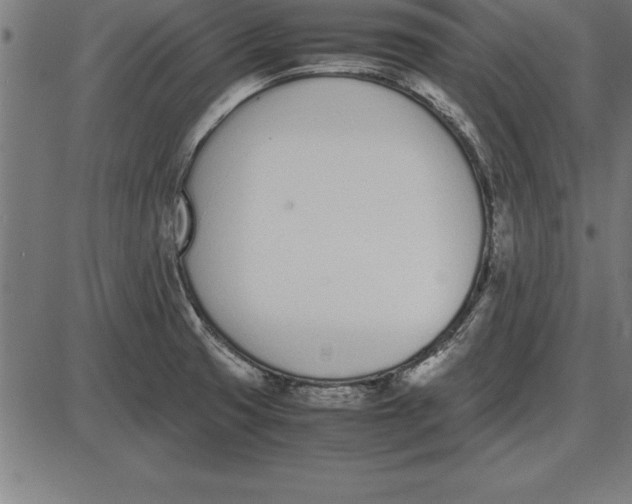 X0000086111425200704091407