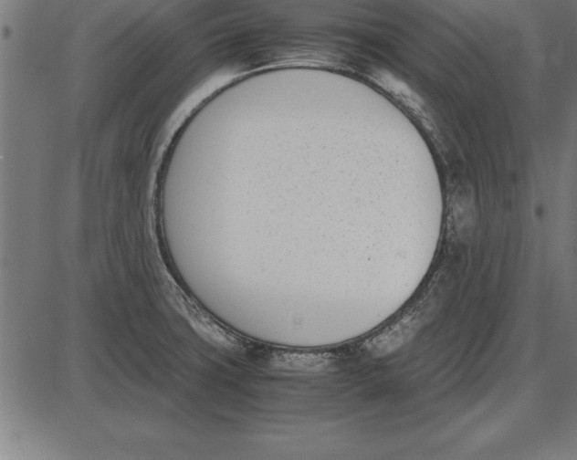 X0000086111427200704091407