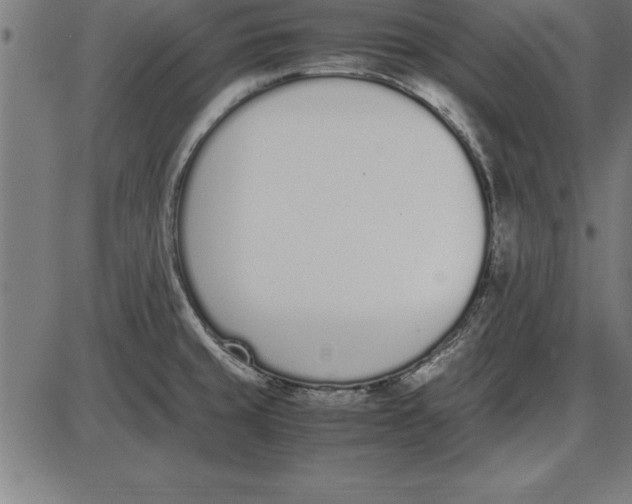 X0000086111429200704091407