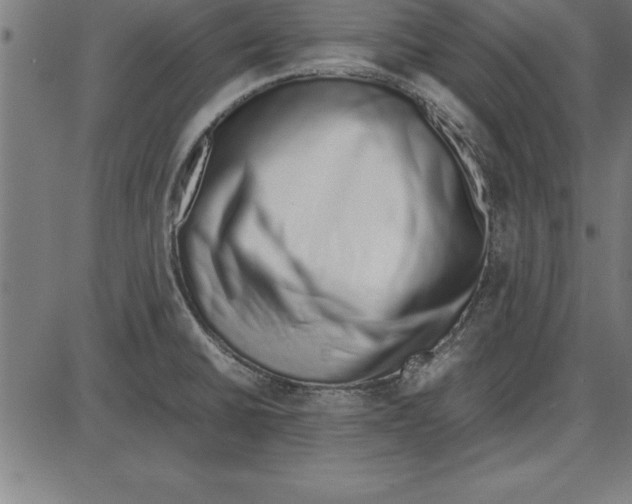 X0000086111430200704091407