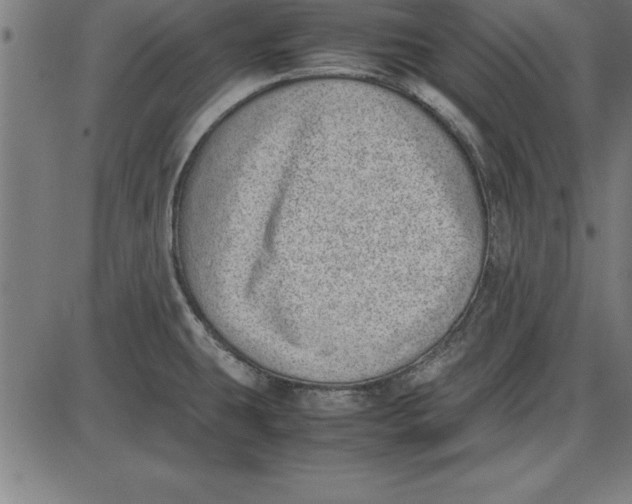 X0000086111431200704091407