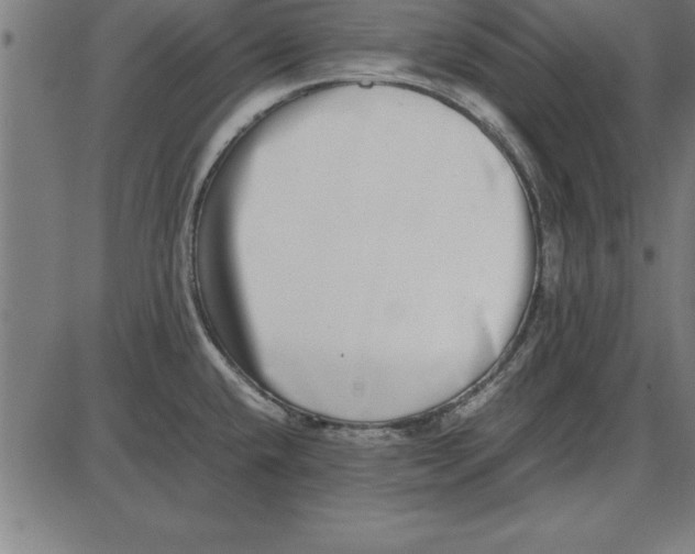 X0000086111432200704091407