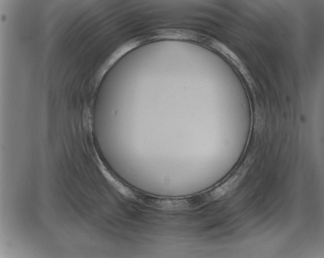 X0000086111433200704091407