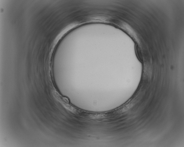 X0000086111435200704091407