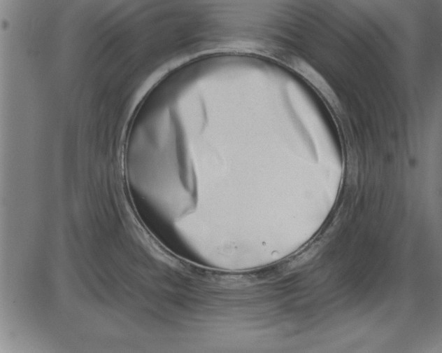 X0000086111436200704091407