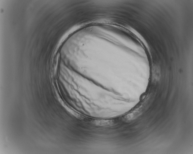 X0000086111437200704091407