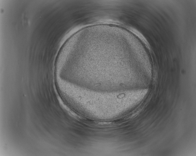 X0000086111439200704091407