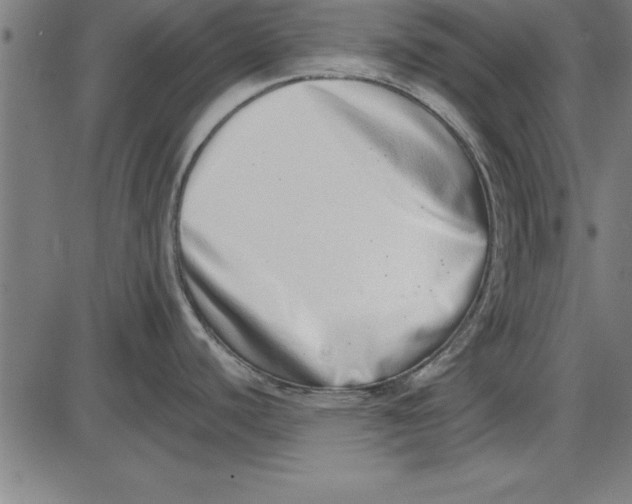 X0000086111440200704091407