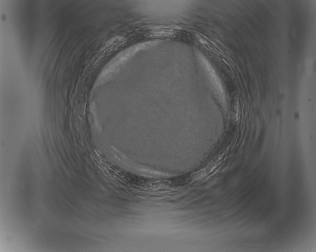 X0000086111441200704091406