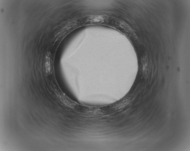 X0000086111442200704091406