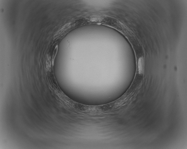 X0000086111443200704091406