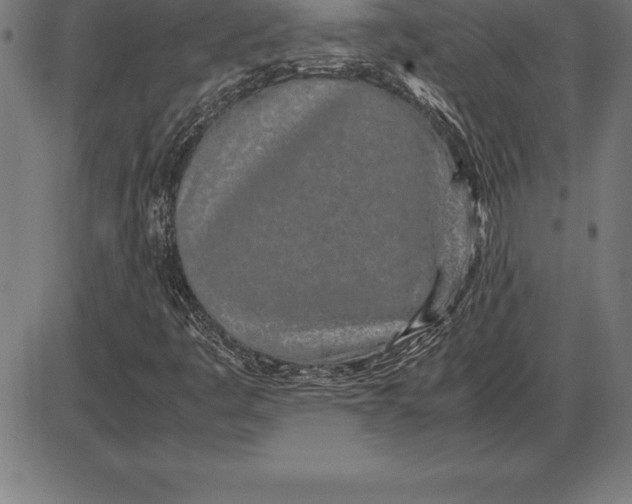 X0000086111445200704091406