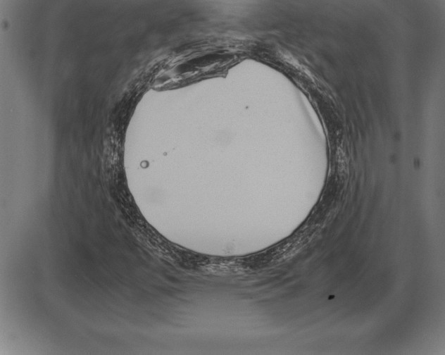 X0000086111447200704091406