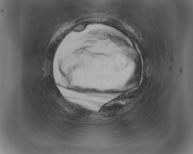 X0000086111448200704091406