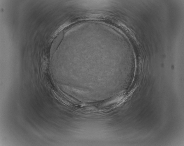 X0000086111449200704091406