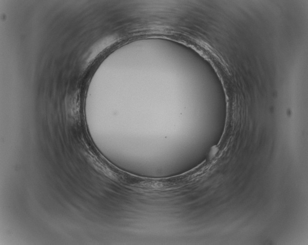 X0000086111450200704091406