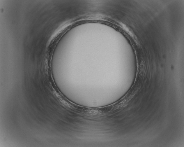 X0000086111456200704091406