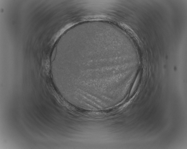 X0000086111457200704091406