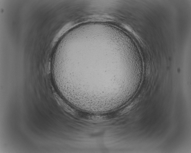 X0000086111459200704091406