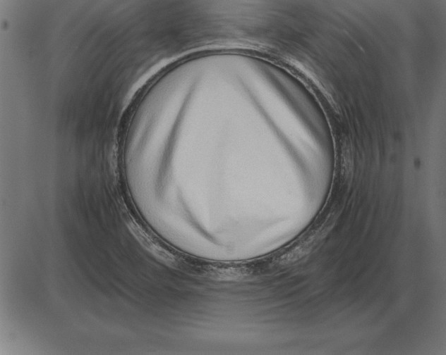 X0000086111460200704091406