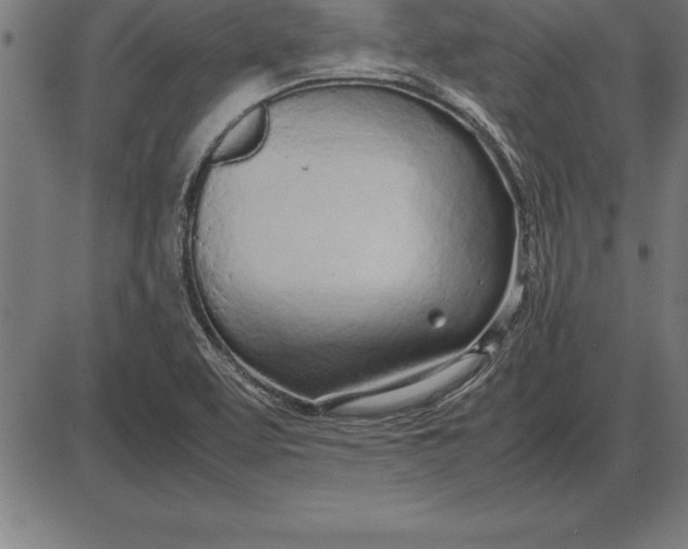 X0000086111463200704091406