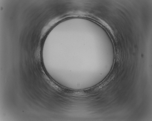 X0000086111464200704091406