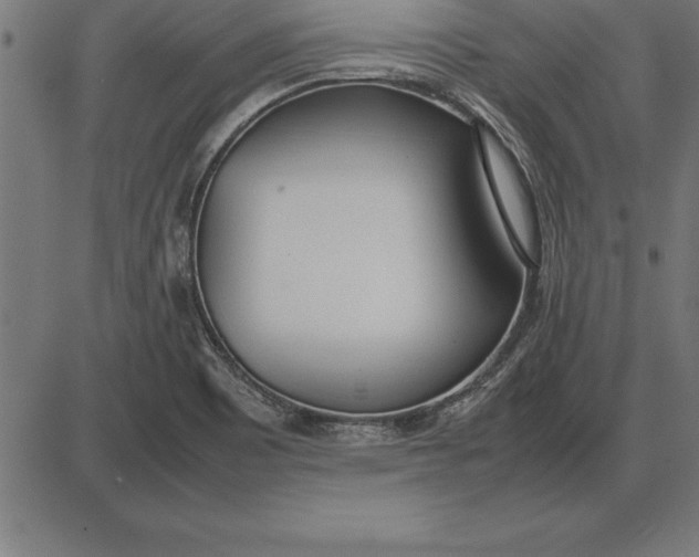 X0000086111465200704091406