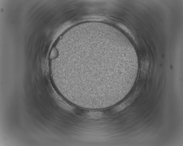 X0000086111466200704091406