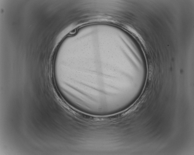 X0000086111467200704091406