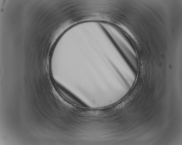 X0000086111468200704091406