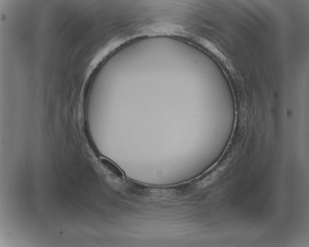 X0000086111469200704091406