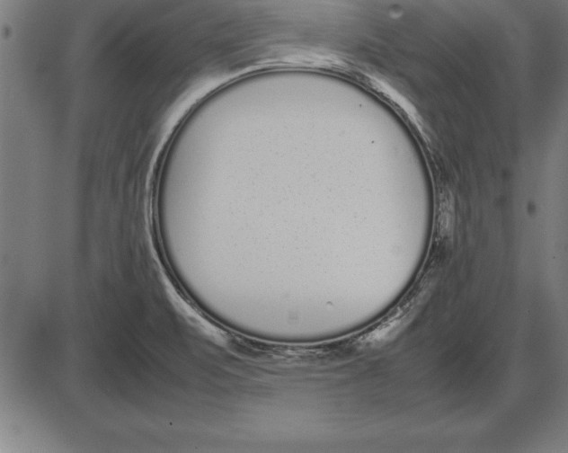 X0000086111471200704091406