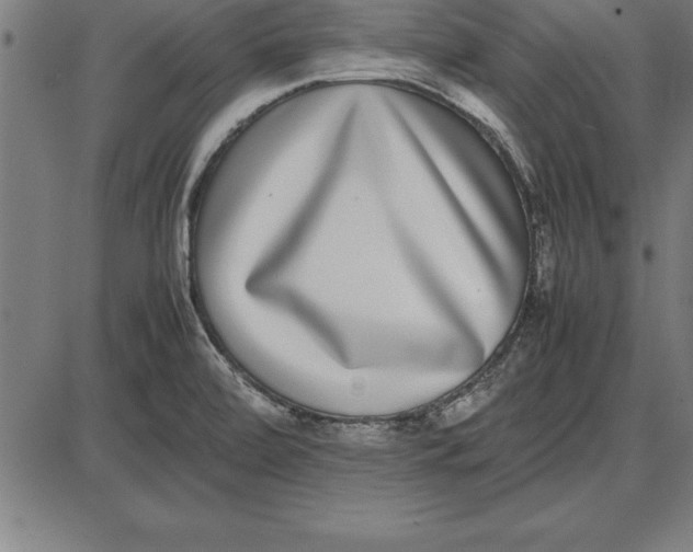 X0000086111472200704091406