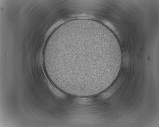 X0000086111474200704091405