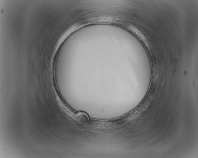 X0000086111475200704091405