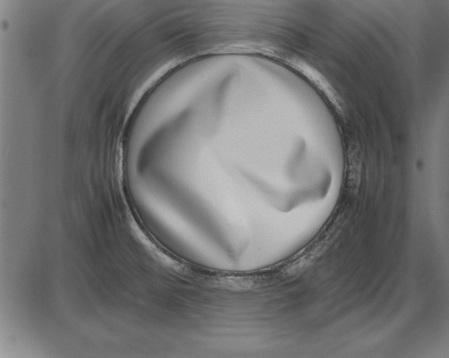 X0000086111476200704091405