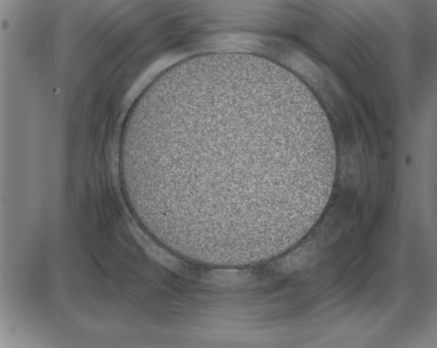 X0000086111478200704091405