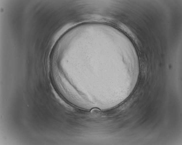 X0000086111479200704091405