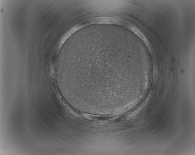 X0000086111481200704091405